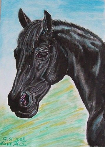 Pintura titulada "Black Horse" por Monika Wasik, Obra de arte original