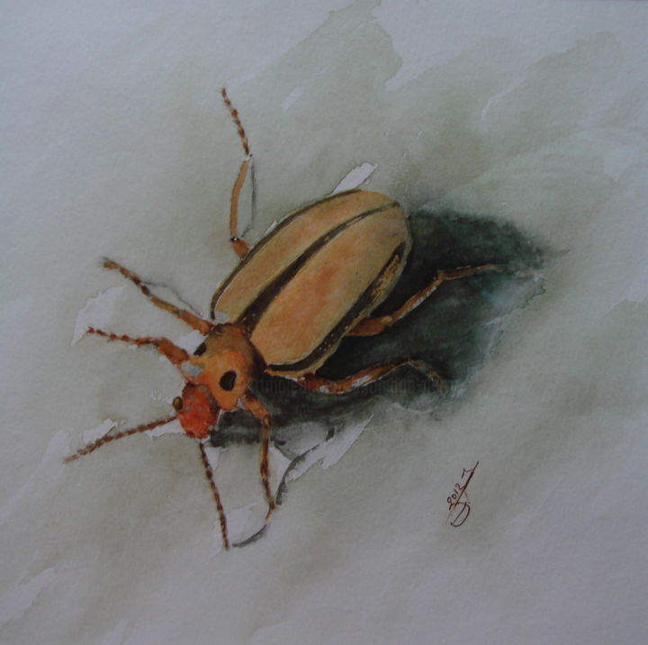 Painting titled "INSECTE 3" by Monique Darry, Original Artwork, Watercolor