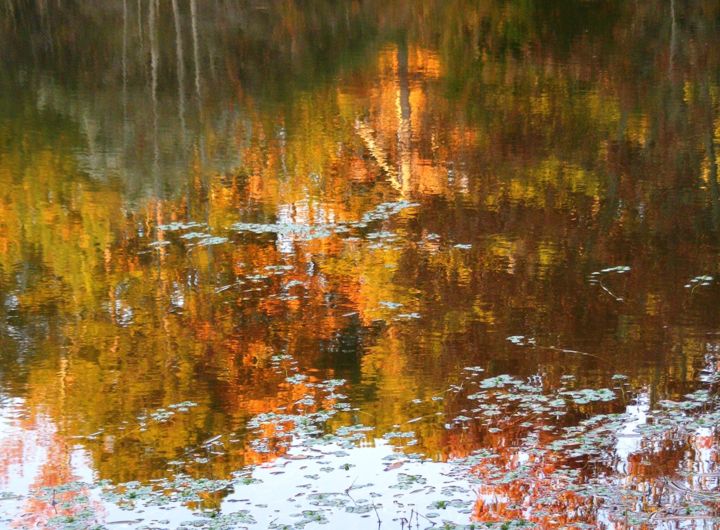 Fotografie mit dem Titel "Feux d'Automne" von Monique Anna Michel, Original-Kunstwerk