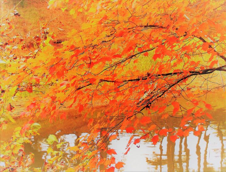 "Un automne flamboya…" başlıklı Fotoğraf Monique Anna Michel tarafından, Orijinal sanat