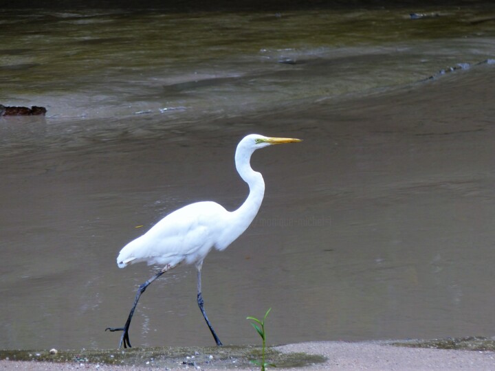 Sous Les Feux De La Rampe,