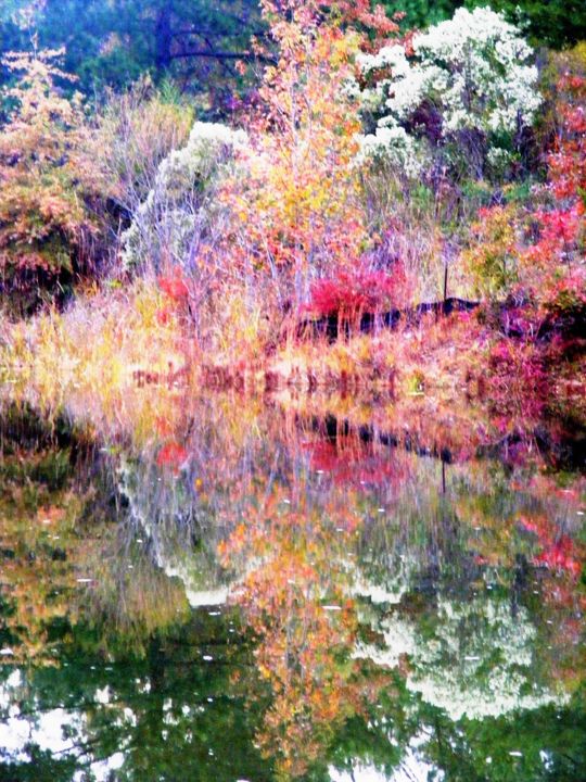 Photography titled "Autumn Fireworks" by Monique Anna Michel, Original Artwork, Non Manipulated Photography