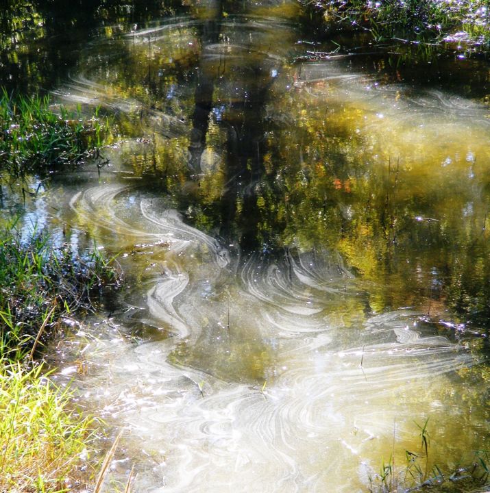 Photographie intitulée "Reflets sur étang" par Monique Anna Michel, Œuvre d'art originale, Photographie non manipulée