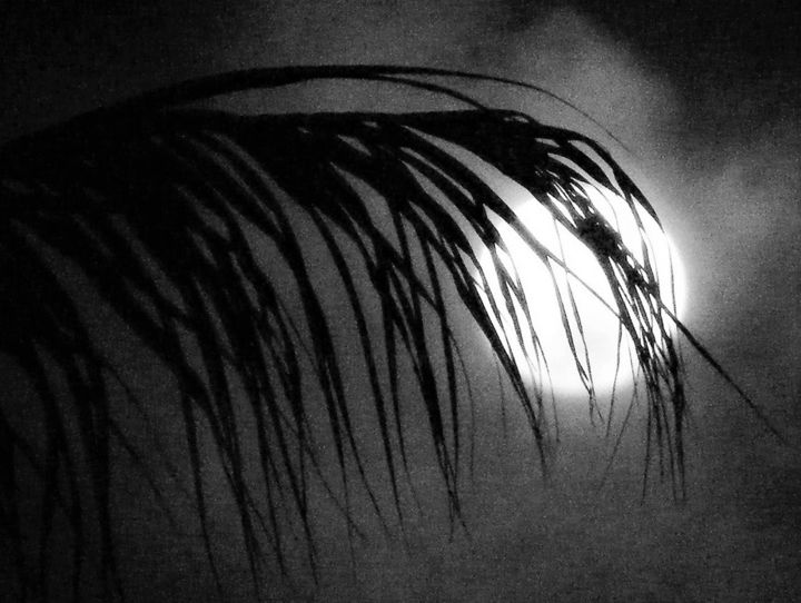Фотография под названием "Décrocher la Lune!" - Monique Anna Michel, Подлинное произведение искусства