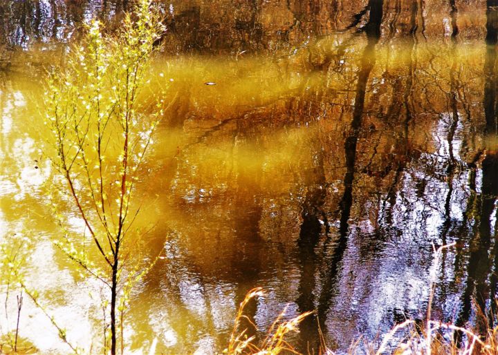 Fotografie getiteld "Lumière d'Avril" door Monique Anna Michel, Origineel Kunstwerk