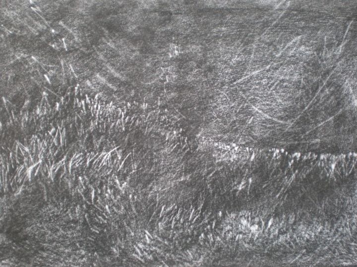 Drawing titled "P2130004.JPG" by Frédérique Montane, Original Artwork