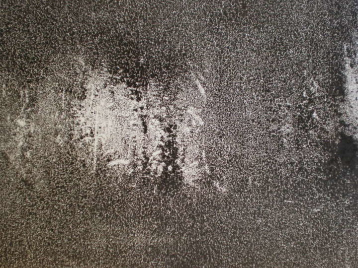 Printmaking titled "pc080143.jpg" by Frédérique Montane, Original Artwork