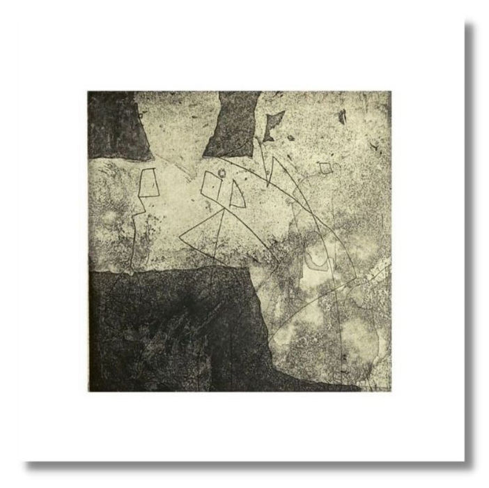Druckgrafik mit dem Titel "Entes 1" von Morales, Original-Kunstwerk, Analogdruck