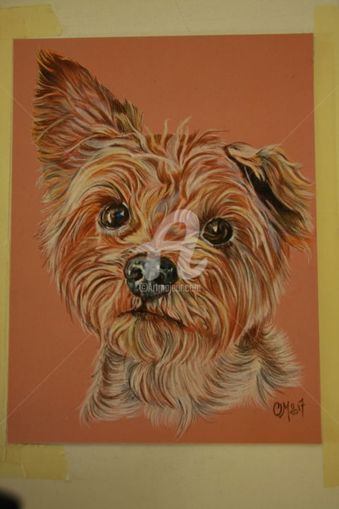 Drawing titled "terrier" by M. Olivier, Original Artwork, Pastel
