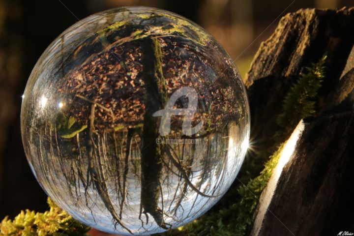 Photographie intitulée "forêt" par M. Olivier, Œuvre d'art originale