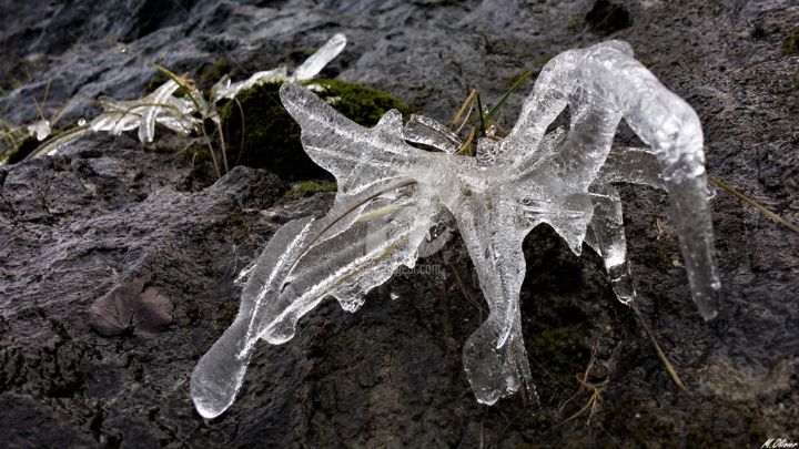 Fotografía titulada "congelé" por M. Olivier, Obra de arte original
