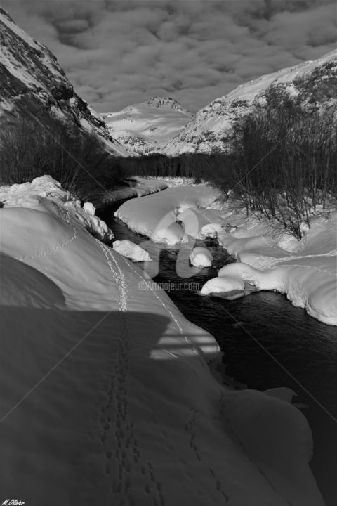 Photographie intitulée "L'arc" par M. Olivier, Œuvre d'art originale