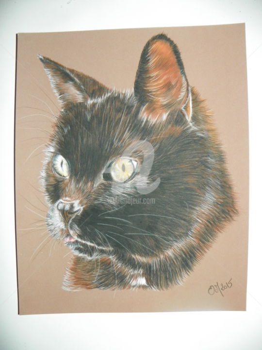 Drawing titled "chat noir" by M. Olivier, Original Artwork, Pastel