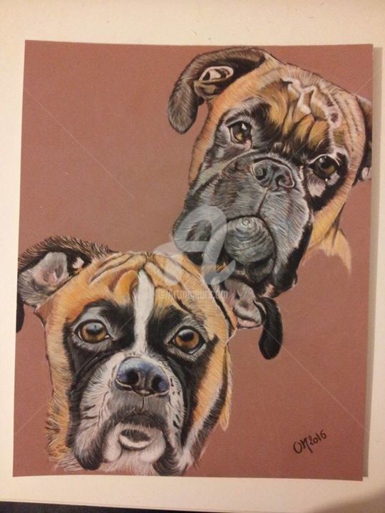 Drawing titled "boxer" by M. Olivier, Original Artwork, Pastel