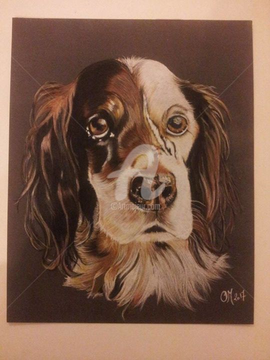 Drawing titled "Axelle" by M. Olivier, Original Artwork, Pastel