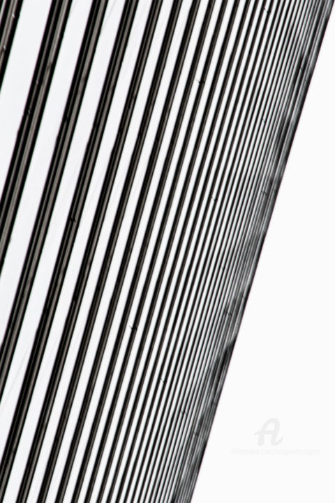 Photographie intitulée "Oblique" par Morgane Brangeon, Œuvre d'art originale, Photographie numérique
