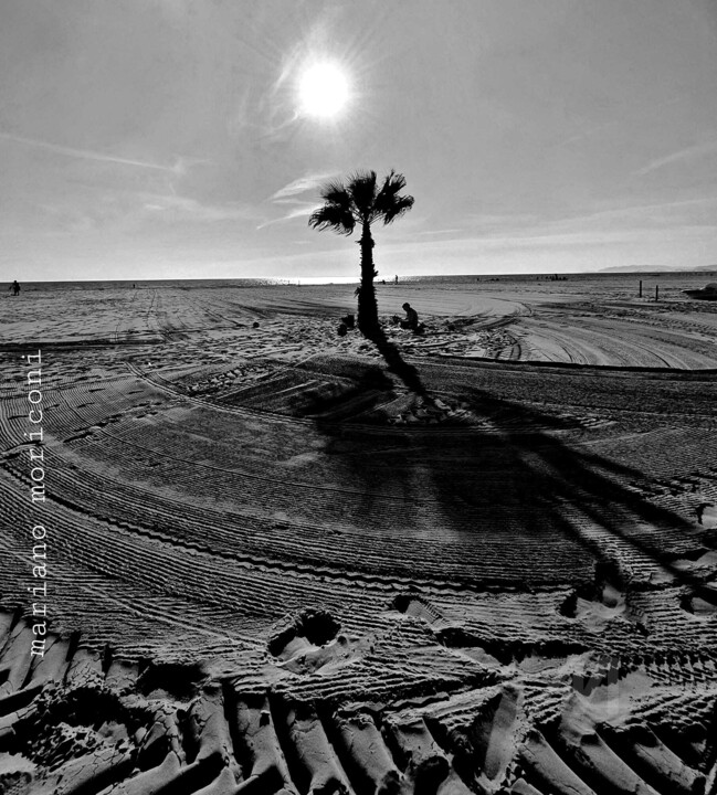 Digital Arts titled "palm" by Mariano Moriconi, Original Art, 2D Digital Work
