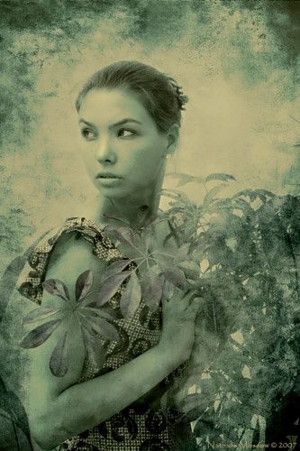 Фотография под названием "Florissima 1" - Nathalie Moscow, Подлинное произведение искусства