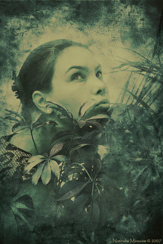 Фотография под названием "Florissima 3" - Nathalie Moscow, Подлинное произведение искусства
