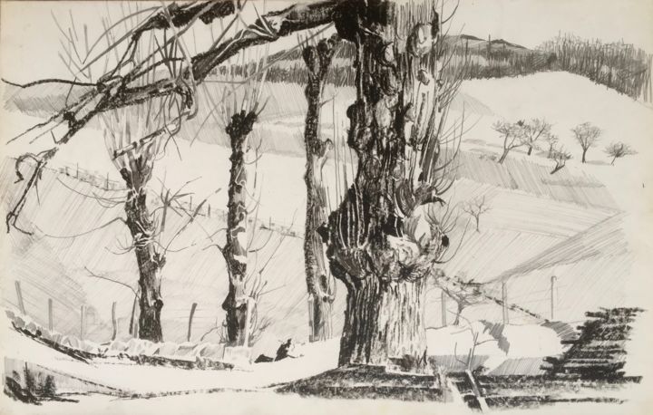 Drawing titled "ARBRES devant le Mt…" by Michel Moskovtchenko, Original Artwork, Pencil