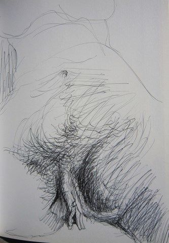 Drawing titled "HOMMAGE A COURBET" by Michel Moskovtchenko, Original Artwork