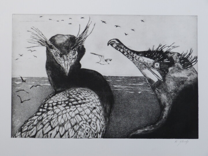 Estampas & grabados titulada "Cormorans" por Mouche Lagé, Obra de arte original, Grabado