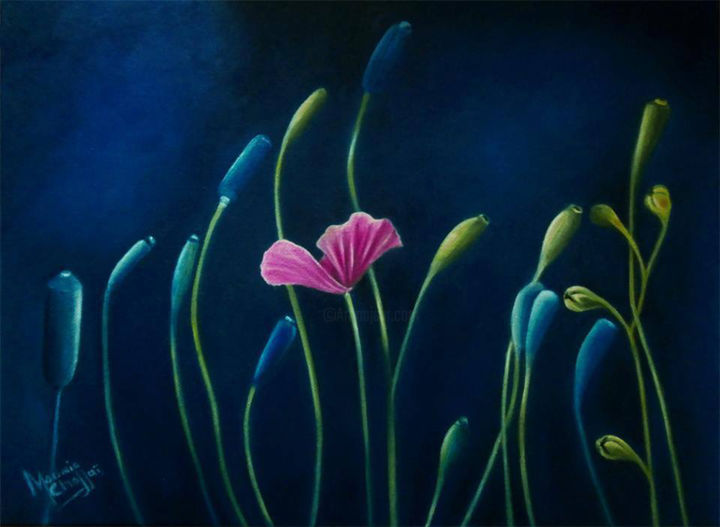 Peinture intitulée "fleurs-coquelicot.j…" par Mounia Chaffai, Œuvre d'art originale, Huile