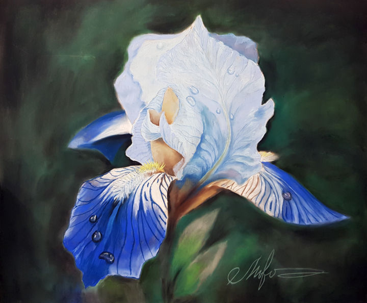 Картина под названием "Iris" - Tigran Movsisyan, Подлинное произведение искусства, Пастель