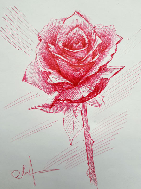 Рисунок под названием "Rose red pen drawing" - Tigran Movsisyan, Подлинное произведение искусства, Чернила