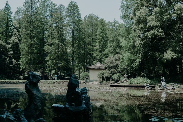 Фотография под названием "китайский парк" - Alexander Kovalenko, Подлинное произведение искусства, Цифровая фотография