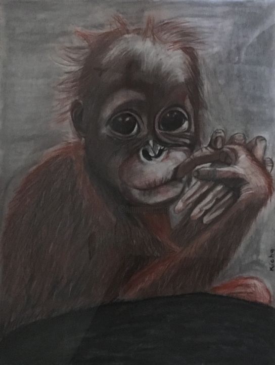 Dessin intitulée "Jeune Orang Outang" par Kicha, Œuvre d'art originale