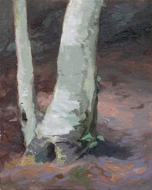 Painting titled "high park birch tree" by Michael Pieczonka, Original Artwork