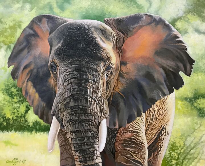 Painting titled "African elephant" by Kakajan Charyyev, Original Artwork, Oil Mounted on Wood Stretcher frame
