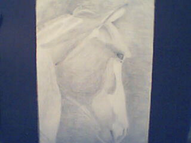 Рисунок под названием "Horse2" - Melody Anderson, Подлинное произведение искусства