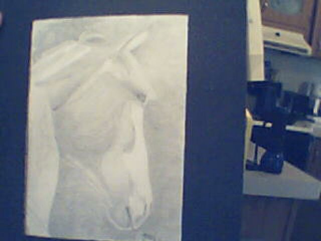Рисунок под названием "horse3" - Melody Anderson, Подлинное произведение искусства