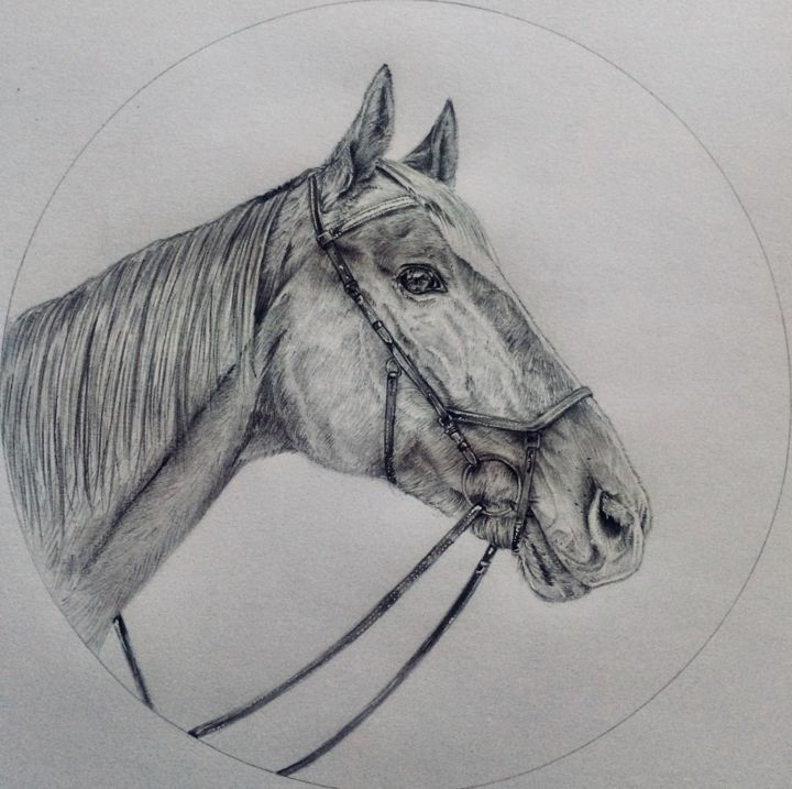 Рисунок под названием "Лошадь - Art" - Mr.Garo_art, Подлинное произведение искусства, Карандаш