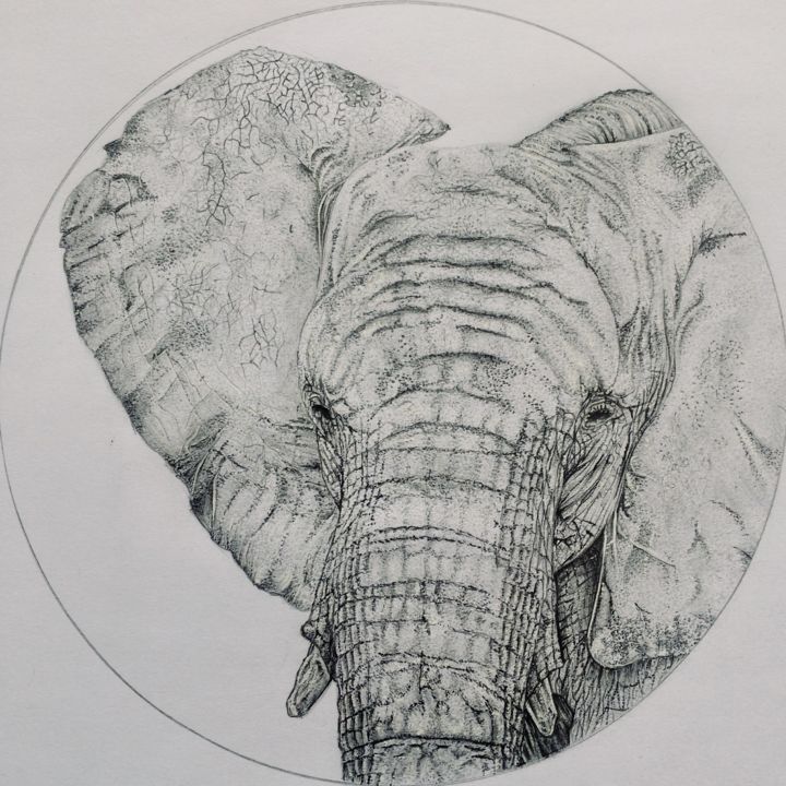 Desenho intitulada "Слон - Art" por Mr.Garo_art, Obras de arte originais, Marcador