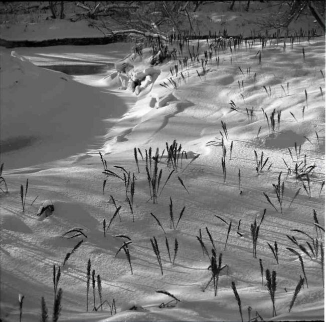 摄影 标题为“Ayers's Cliff snow” 由Michel Robitaille, 原创艺术品