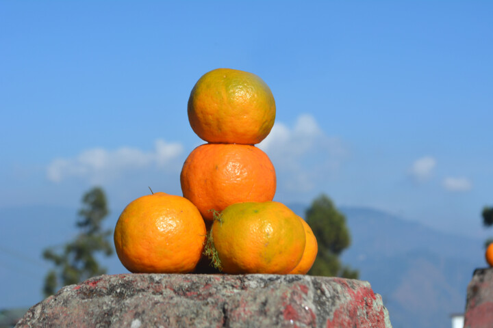 Fotografie getiteld "Orange and Blue col…" door Muktinava Barua Chowdhury, Origineel Kunstwerk
