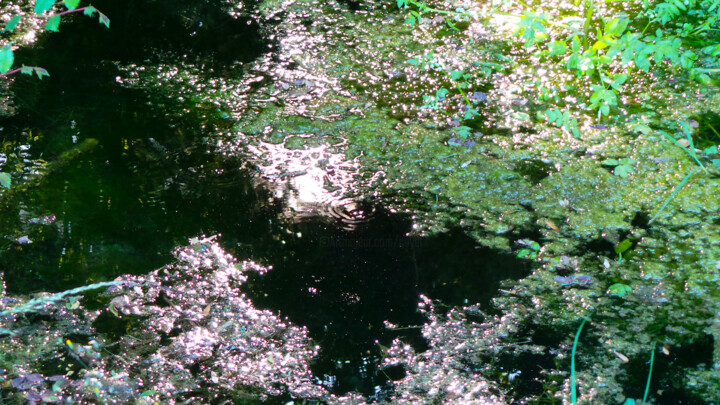 Photographie intitulée "L'eau dorée" par Muriel Cayet, Œuvre d'art originale