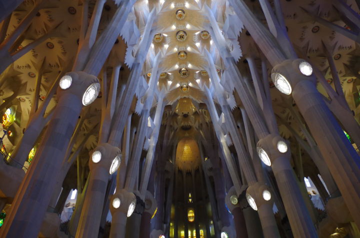 "Sagrada Familia" başlıklı Fotoğraf Muriel Besson-Braem tarafından, Orijinal sanat