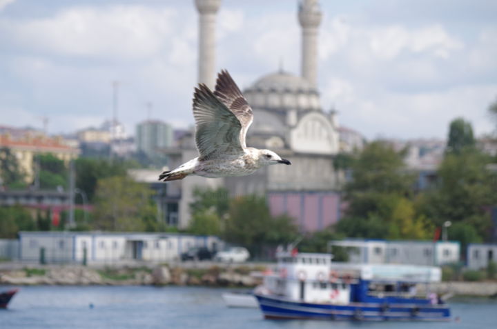 "en plein vol bis" başlıklı Fotoğraf Muriel Besson-Braem tarafından, Orijinal sanat