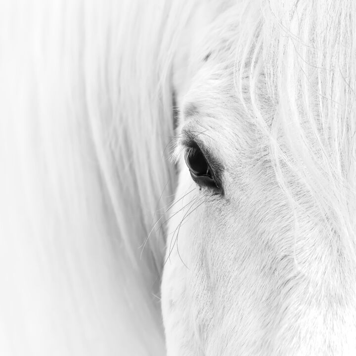 Fotografia zatytułowany „Portrait #2” autorstwa Murielle Etc..., Oryginalna praca, Fotografia cyfrowa Zamontowany na Alumini…