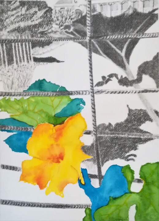 Peinture intitulée "Fleur de courgette…" par Myind, Œuvre d'art originale, Aquarelle