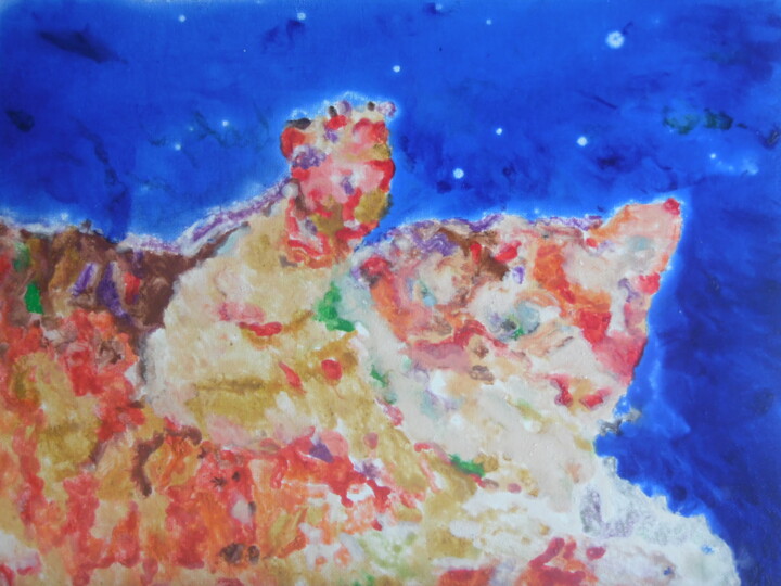 Peinture intitulée "Le chat des étoiles" par Audran, Œuvre d'art originale, Pigments