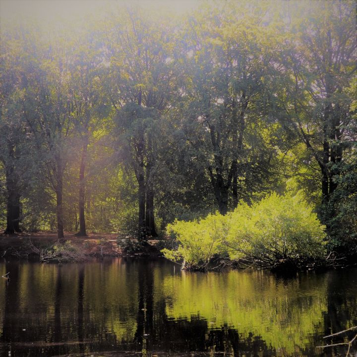 Photographie intitulée "A l'aube d'un été" par Myriam Gylon, Œuvre d'art originale