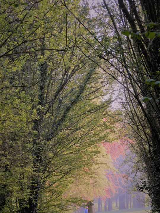 Photographie intitulée "Éclat du rose" par Myriam Gylon, Œuvre d'art originale