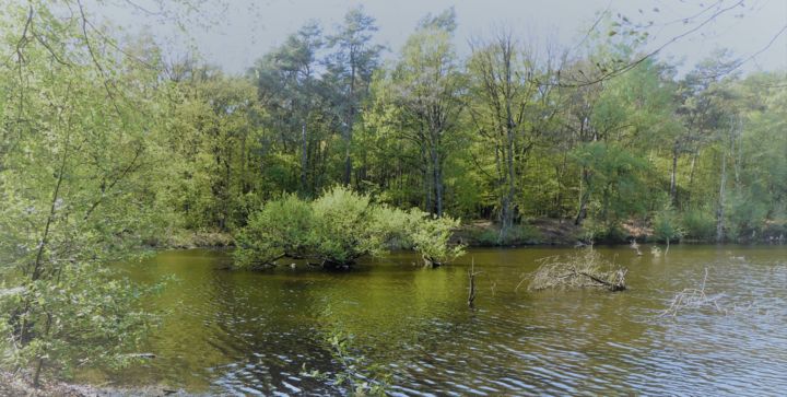 Fotografia intitulada "Etang d'Erbisoeil" por Myriam Gylon, Obras de arte originais