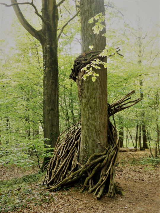 Photographie intitulée "La nature offre, l'…" par Myriam Gylon, Œuvre d'art originale, Photographie numérique