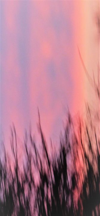 Photographie intitulée "Ciel d'hiver" par Myriam Gylon, Œuvre d'art originale, Photographie numérique